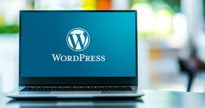 How to downgrade WordPress version